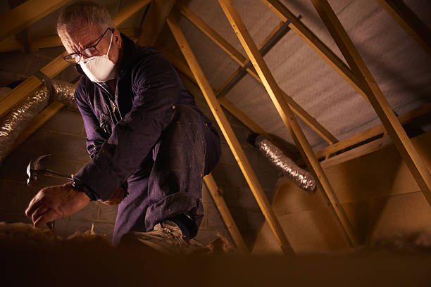 Best DIY Insulation Kits and Guidance in New Paleste, IN